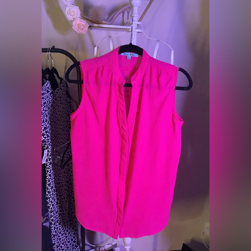 EUC‎ Alice Blue pink colored button up size L